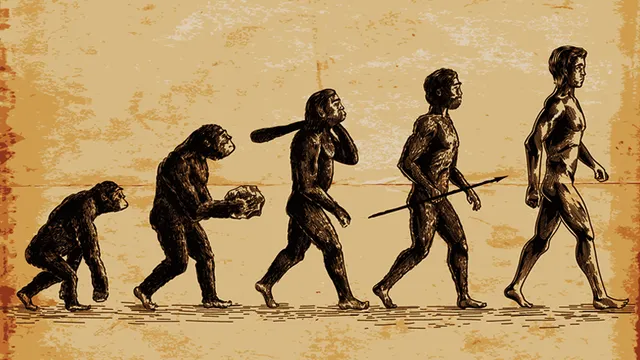 宇宙線照射によってアウストラロピテクスの進化系の通説が覆されるのか