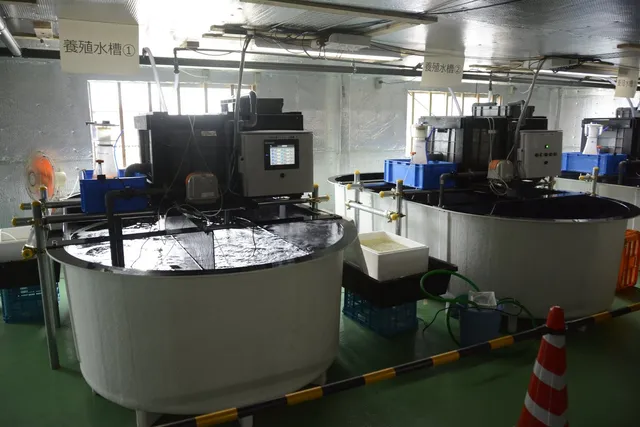 「菊間のエビ」養殖実証試験場内に設置された大型の円形養殖水槽。水槽①②と表示されたタンクが並び、水質管理モニターやろ過装置が稼働している