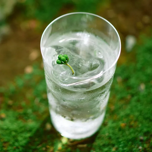 苔の上に置かれたグラスに入った透明なカクテル。小さな緑の実がひとつ浮かんでいる