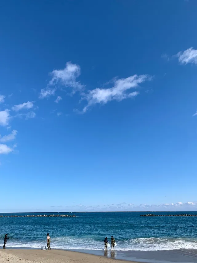 晴天の砂浜で波打ち際に立ちポリタンクを手に海水を採取する研究スタッフたち。沖にはテトラポッドの消波ブロックが並ぶ