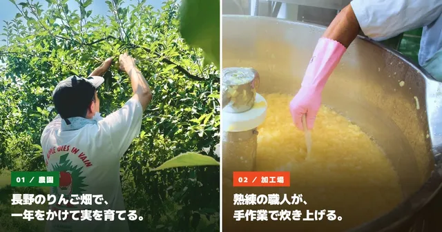長野のりんご畑で実を収穫する農園スタッフと、加工場で大鍋のりんごを職人が手作業で炊き上げる様子